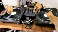 Des DJ exceptionnels