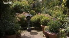 Le jardin de Graziella