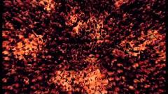 KINGS OF LEON - SEX ON FIRE [ LIVE O2 LONDON ] HQ