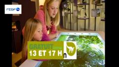 Journée de la Biodiversité au Musée des Sciences naturelles