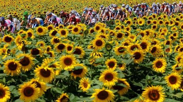 Le Tour de France suivi par quelque 245 000 téléspectateurs en moyenne sur la RTBF