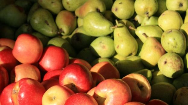 Moins de pommes et de poires cette année en raison des mauvaises conditions climatiques