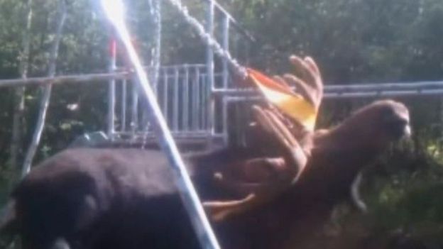 Une balançoire pour enfant qui se transforme en "piège à élan"