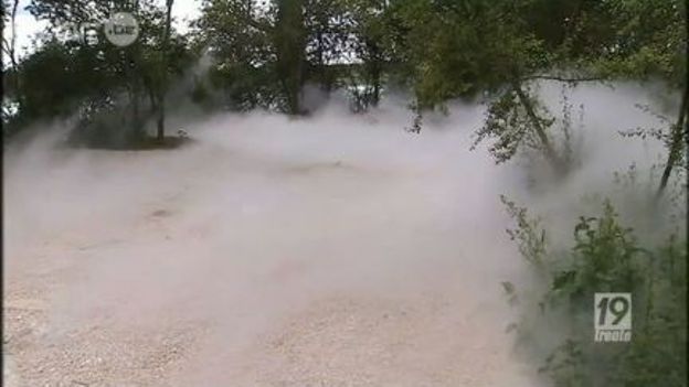 Vents des forêts