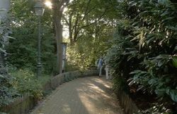 Parc Tenbosch 