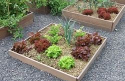 potager 