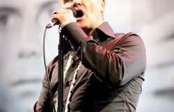 morrissey 