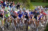 L'Amstel Gold Race en direct sur La Une et le web 