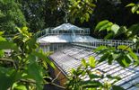 Nature : La fascination des plantes