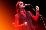 Rufus Wainwright, Dionysos, Brigitte... nous ont laissé des messages!