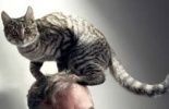 Une légende (certes un peu fânée) aux Ardentes + nouveaux noms