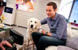 Mon chien a de l’arthrose 
