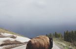 Superbes photos de nature prises avec un iPhone 5