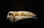 Un mannequin reproduit la femme peinte en or dans "Goldfinger" en 1964