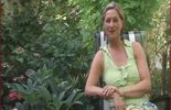 Le jardin de Graziella
