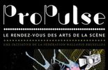 Pure FM en direct du festival ProPulse 