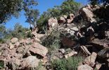 123 Gaume: un nouveau parc naturel devrait voir le jour