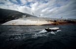 123 Costa Concordia: une enquête sur cinq membres du conseil d'administration 