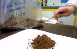 123 Les farines animales à nouveau autorisées dans les élevages de poissons