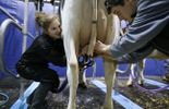 123 Des producteurs de lait belges manifestent en Allemagne