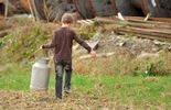Chimay-Baileux : le "lait des Pachîs" cesse ses activités
