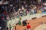 123 Un ours à vélo qui attaque un singe, dernier scandale dans un zoo chinois