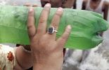 123 Un Irlandais trouve un message dans une bouteille venant du Canada