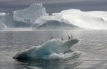 123 La photo de l'iceberg qui aurait coulé le Titanic bientôt aux enchères