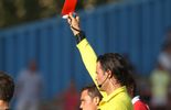 Un match de suspension pour Sapina et Dzinic