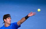 Del Potro trop costaud pour Dolgopolov