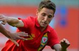 Joe Allen: "Fellaini est une bête"