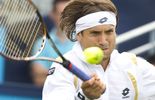 Ferrer rejoint Petzschner en finale à Rosmalen