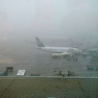 Illustration: brouillard sur Zaventem
