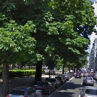 L’avenue Louise compte près de 300 marronniers. 