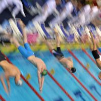Dekoninck et Timmers en finale du 100 libre