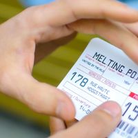 Les bons plans de Pam... au Melting Pot Kilo