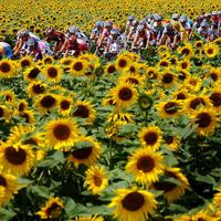 Tour de France 2012