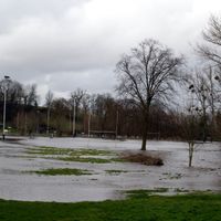 Plusieurs champs du Nord de la province de Namur se sont transformés en petits lacs, le temps d'une averse.