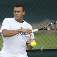 Tsonga : "Goffin deviendra encore meilleur"