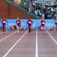 Projet de salle d'athlétisme à LLN: on parle de 2014 pour le début des travaux - illustration
