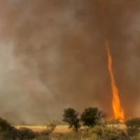 La tornade de feu