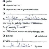 Certificat médical délivré à notre journaliste infiltrée, Barbara Boulet