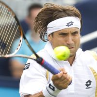 Ferrer rejoint Petzschner en finale à Rosmalen