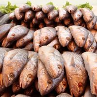 Poissons d'avril: voici le résultat de notre pêche sur les sites d'info