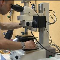 Dans les laboratoires de Veneto Nanotech, les chercheurs mettent au point les matériaux du futur