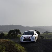 Thierry Neuville